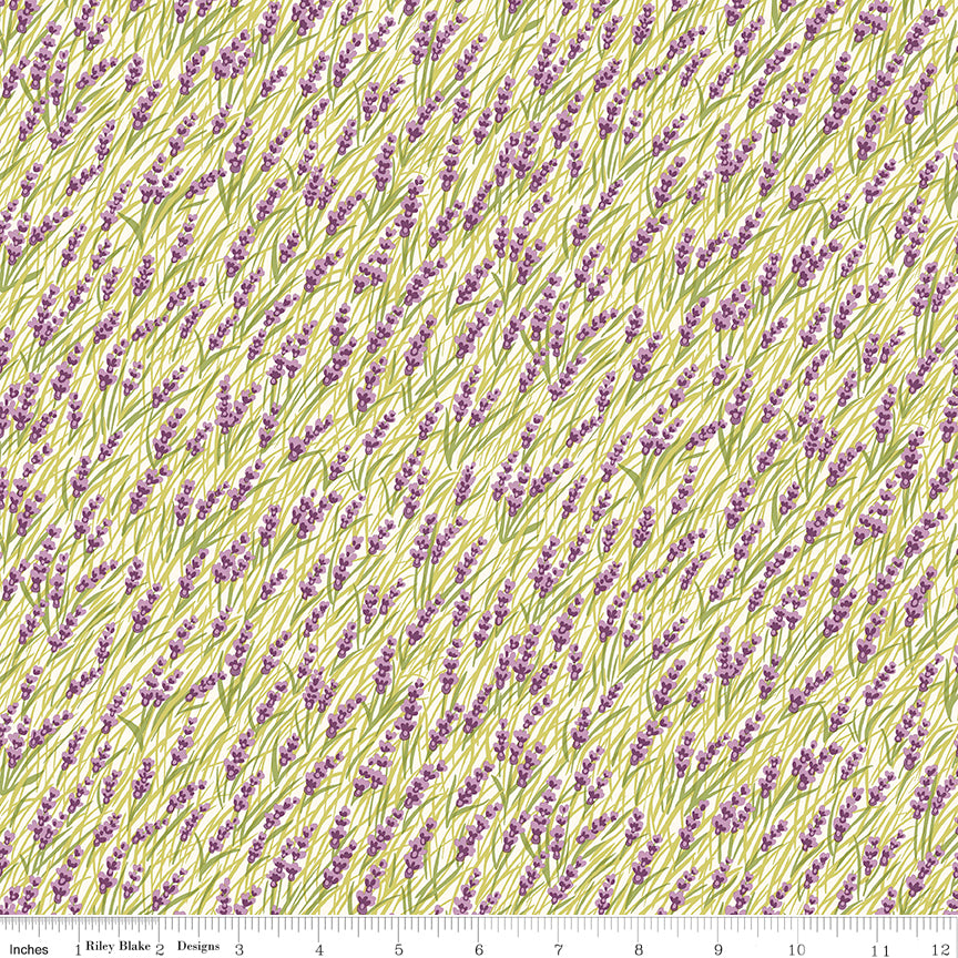 Liberty postcard from the highlands marsh orchids