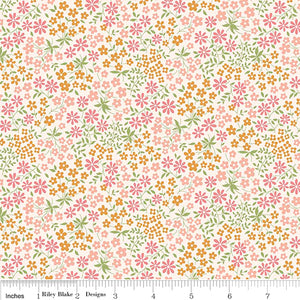 Liberty Meadow Flowers Wildflower Garden B