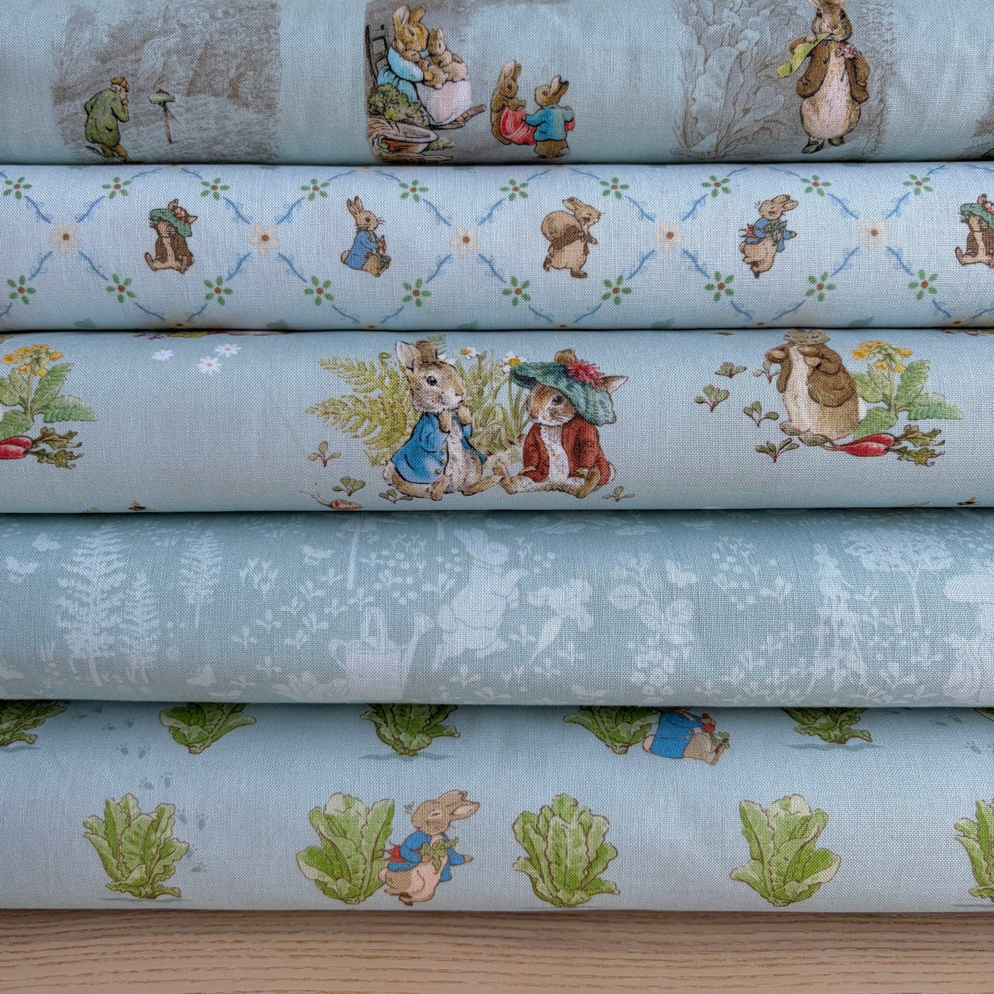 Peter Rabbit and Benjamin Bunny Story Time Blue - country clothesline