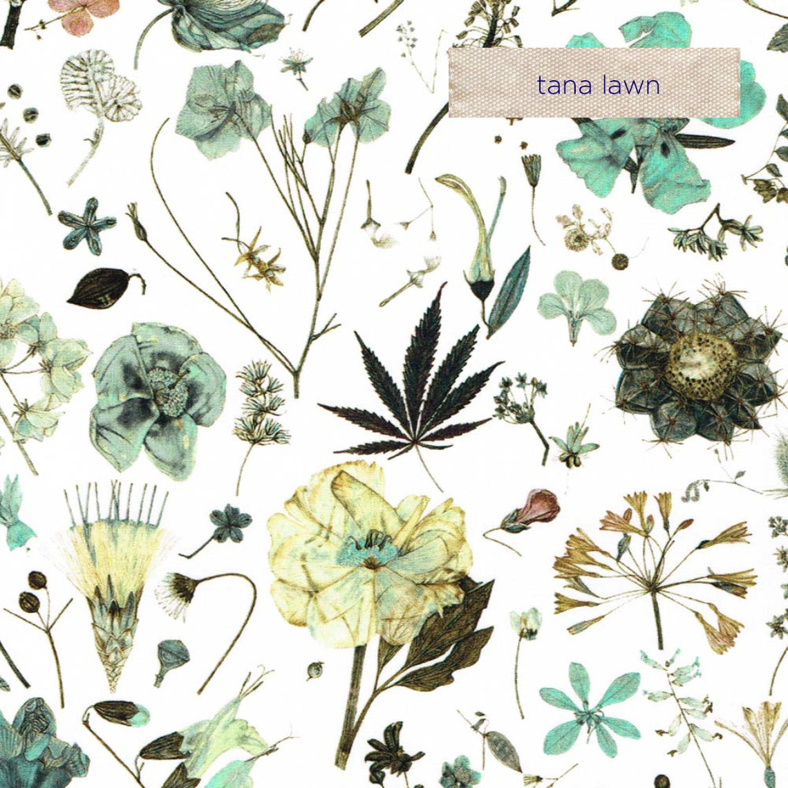 Liberty Tana Lawn Floral Eve in Green