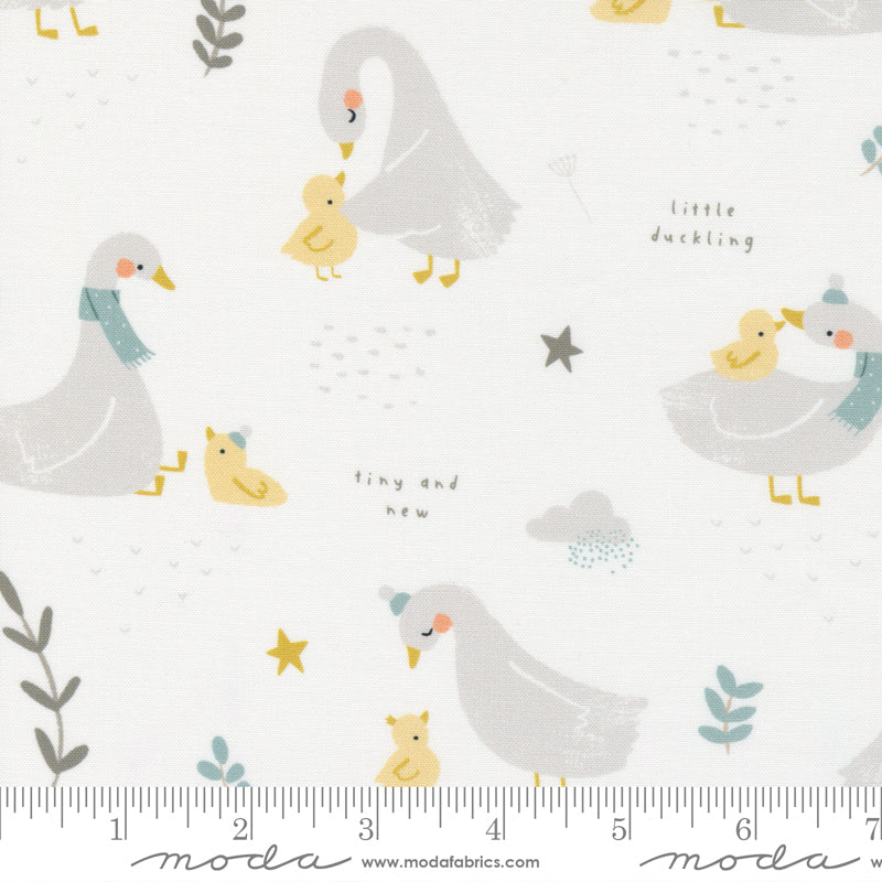 Little Ducklings Oh So Cute White