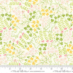 Here Kitty Kitty Meadow Meow