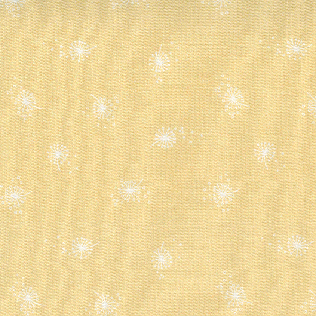 Little Ducklings Wishes