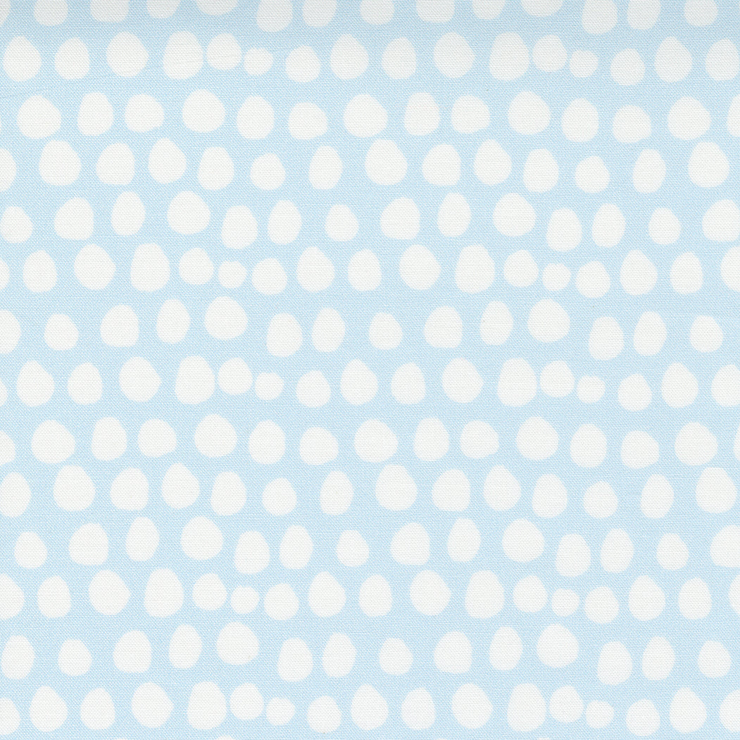 Little Ducklings Duck Eggs Blue