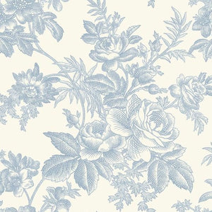 Trendy Toile Sky