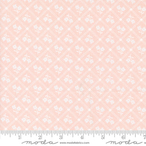 Cottage Charm Trellis Coral Kicks