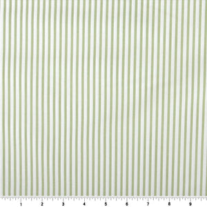Sevenberry Petite Basics Sage Stripe