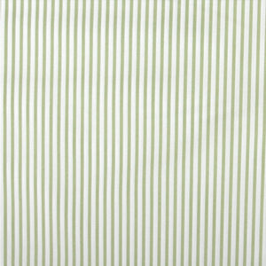 Sevenberry Petite Basics Sage Stripe