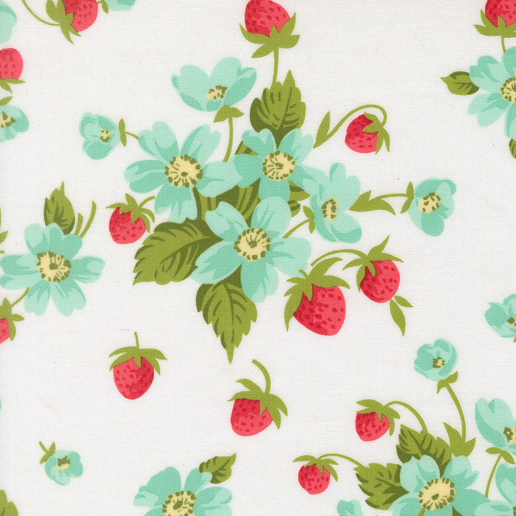 Bloomsberry Blossom