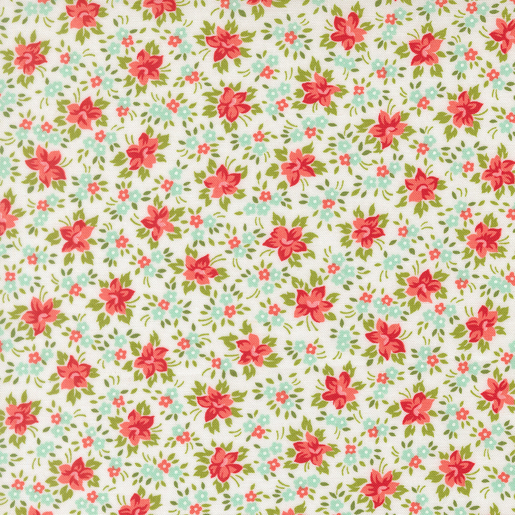 Bloomsberry Perennial