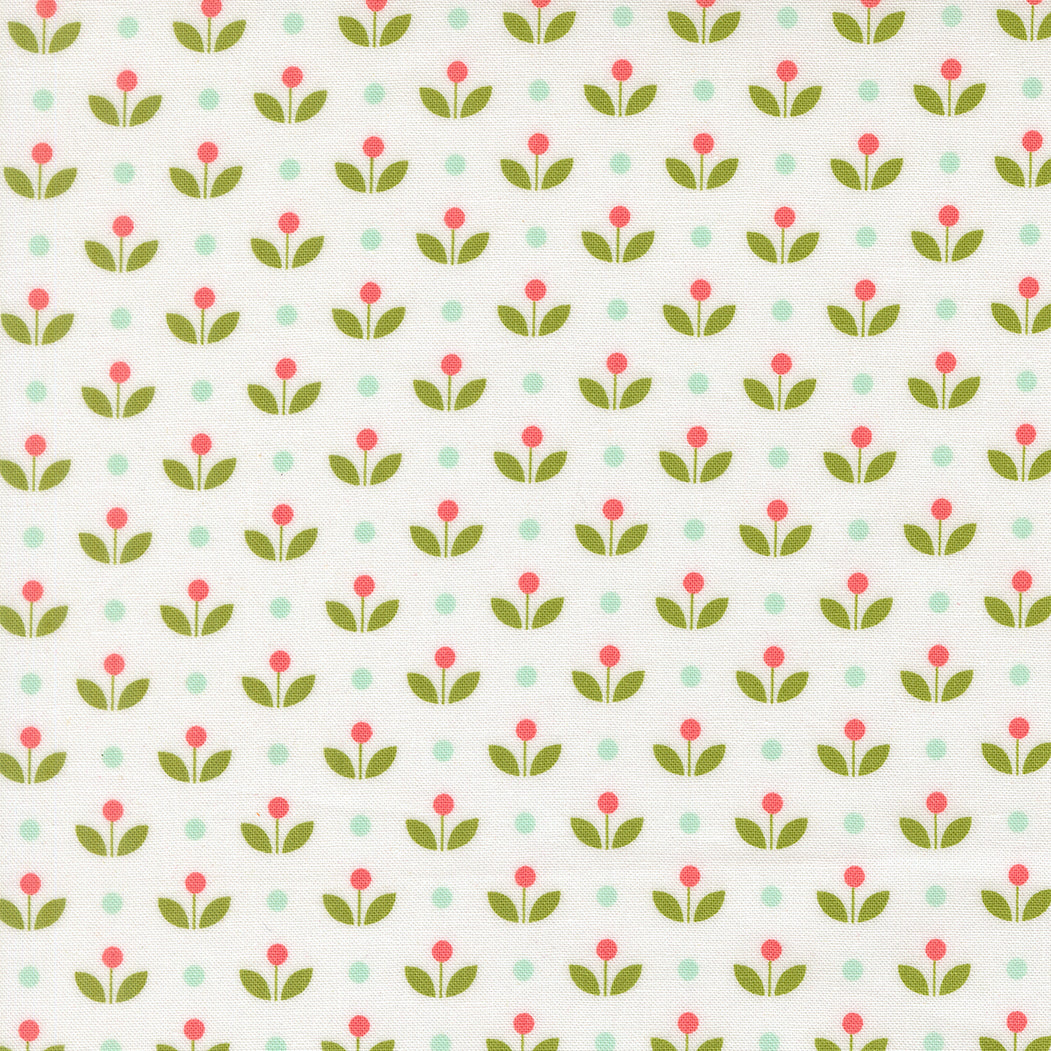 Bloomsberry Seedling