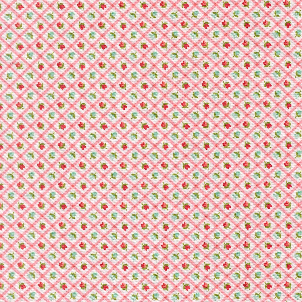 Bloomsberry Picnic