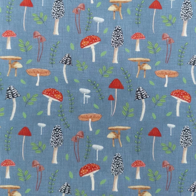 Whimsical Fields The Mushrooms