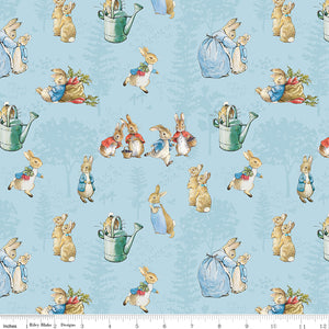 The Tale Of Peter Rabbit Main Blue