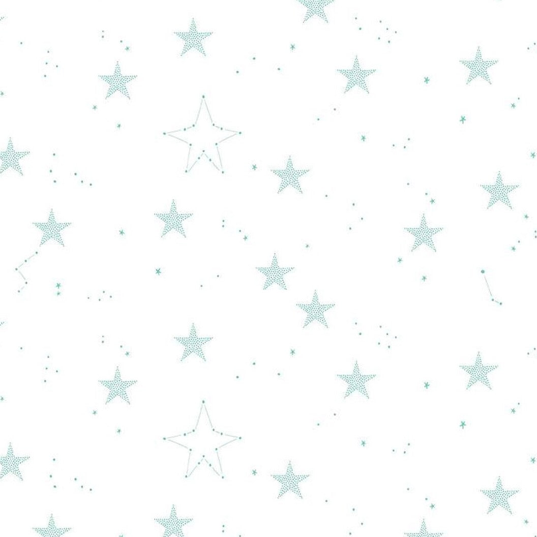 Hush Hush Wish Upon a Star