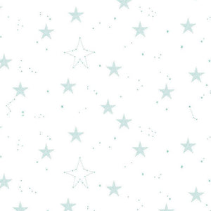 Hush Hush Wish Upon a Star