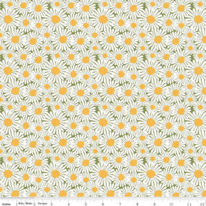 Sunshine & Dandelions Daisies