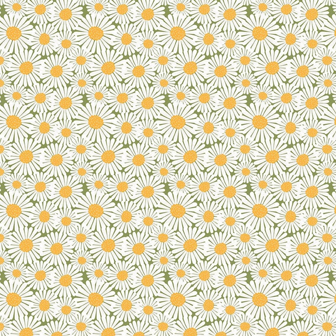 Sunshine & Dandelions Daisies