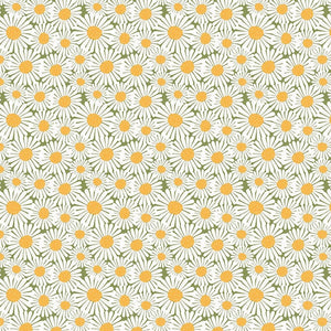 Sunshine & Dandelions Daisies