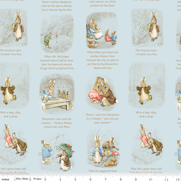 Peter Rabbit and Benjamin Bunny Story Time Blue - country clothesline