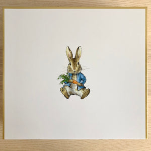 Peter Rabbit Book Adventures Boxed Quilt Kit