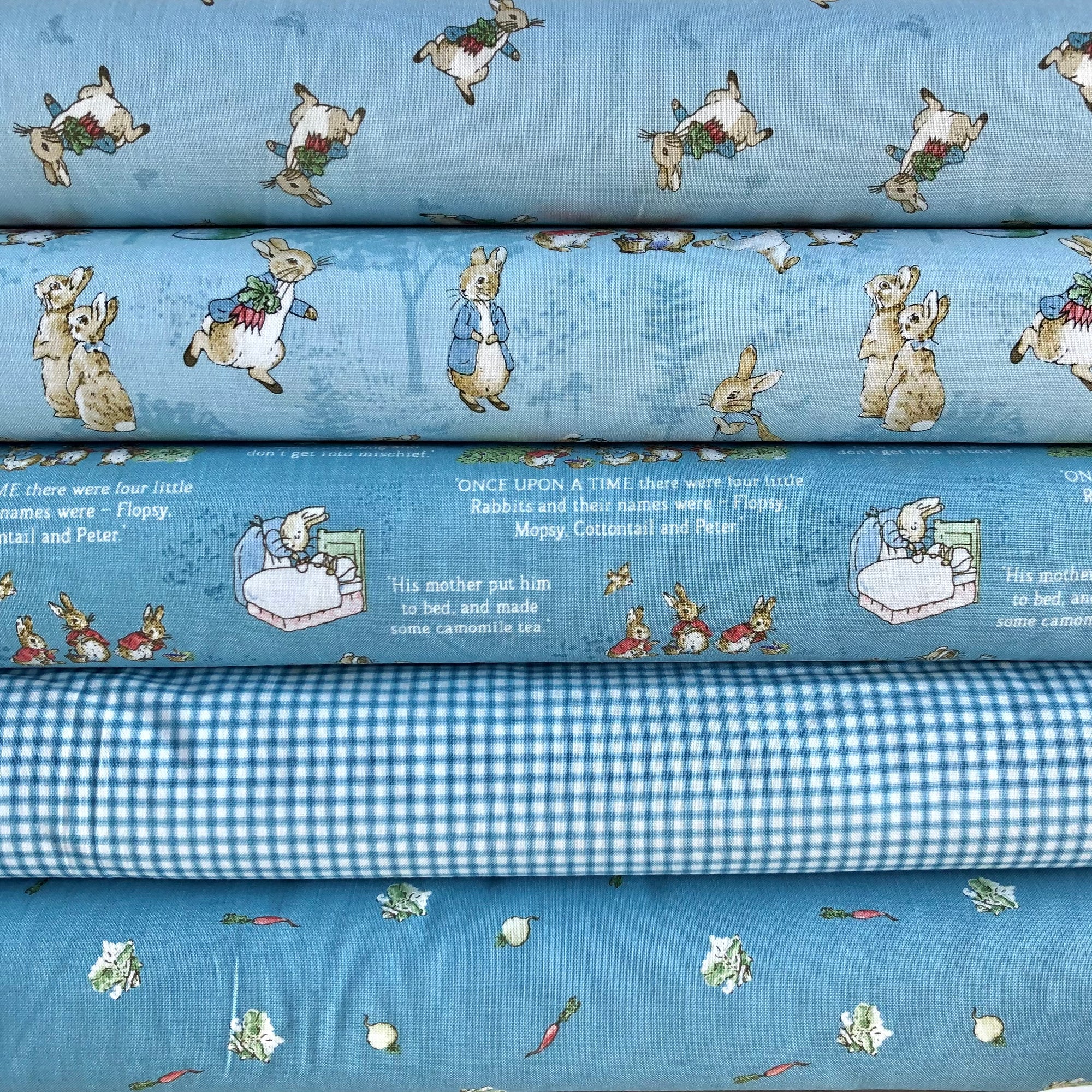 The Tale Of Peter Rabbit Gingham Blue