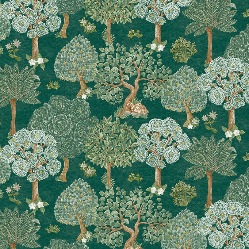 Caspian Pamir Forest