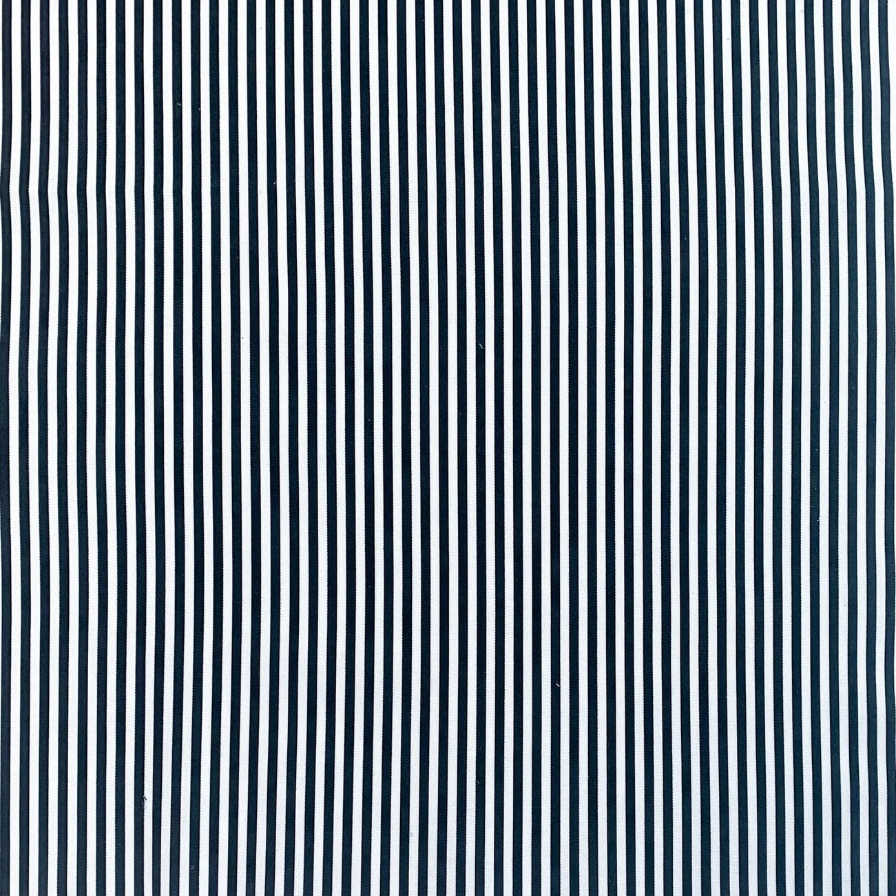 Black & White Stripe