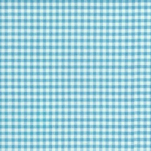 Pond Carolina Gingham ⅛"