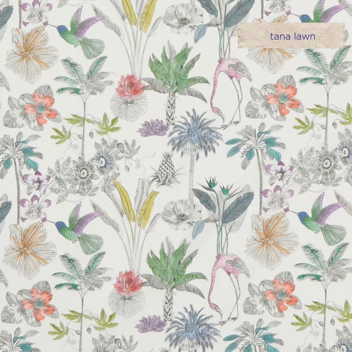 Liberty Tana Lawn Darwin's Journey