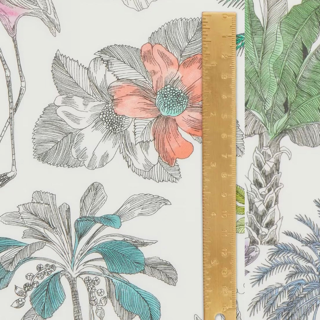 Liberty Tana Lawn Darwin's Journey