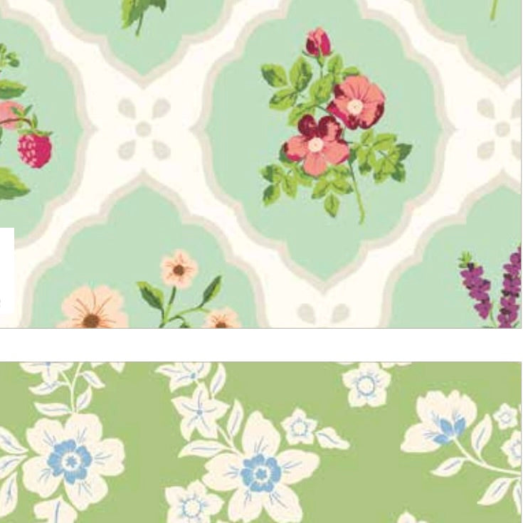 Virginia Rose Primrose