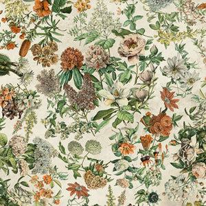 Curated Botanical Wideback