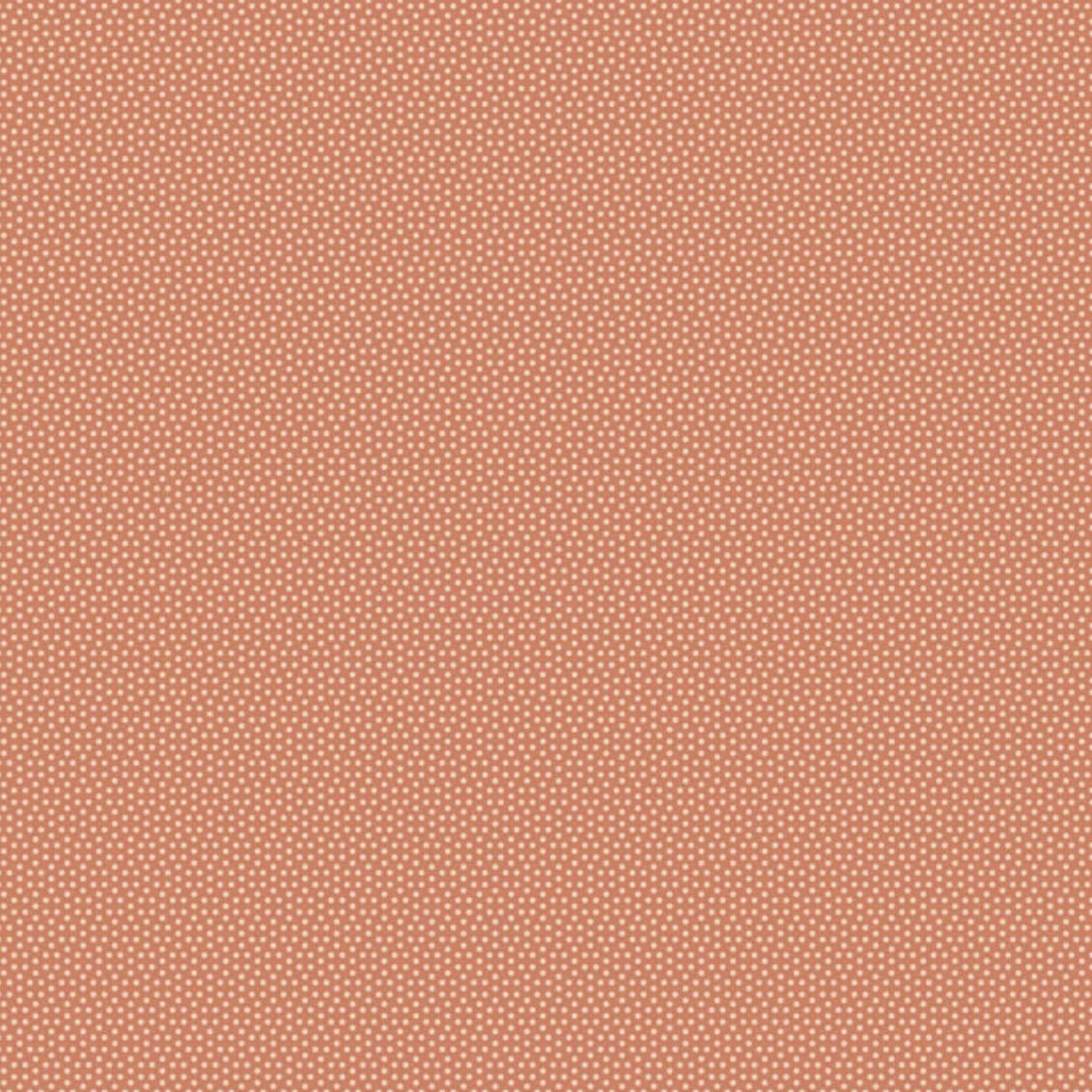 Poppy Seed Terracotta