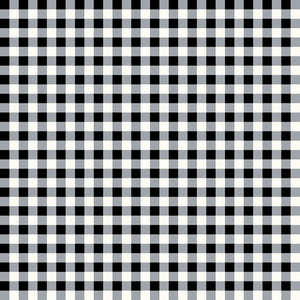 Gingham Weave Black