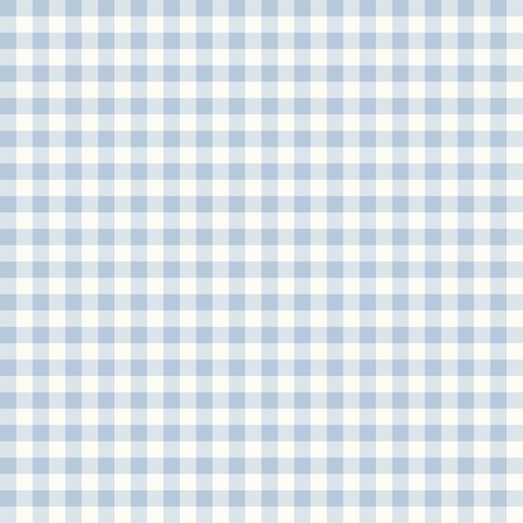 Gingham Weave Blue