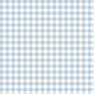 Gingham Weave Blue