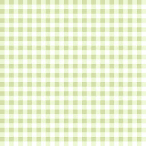 Gingham Weave Green