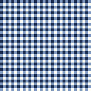 Gingham Weave Navy