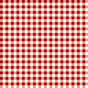 Gingham Weave Red