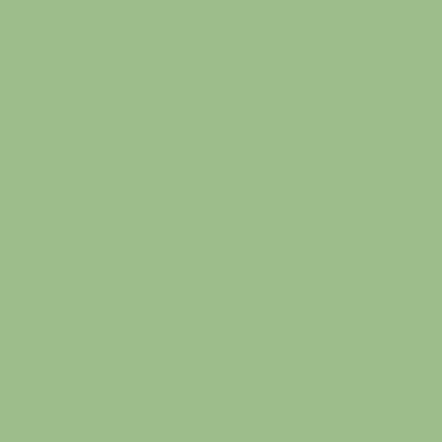 Tilda Solids Fern Green - country clothesline