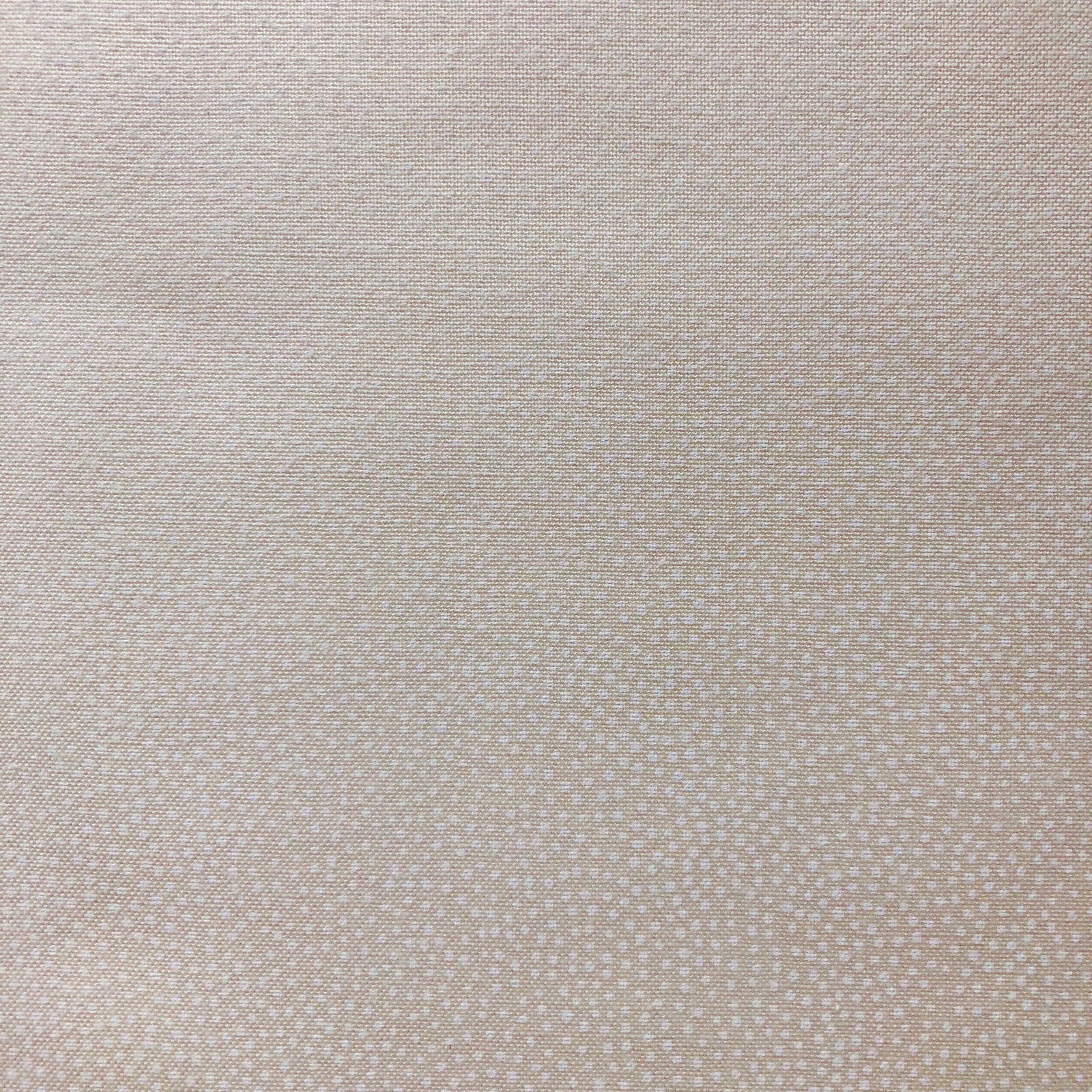Neutral Notes Antique White Dots