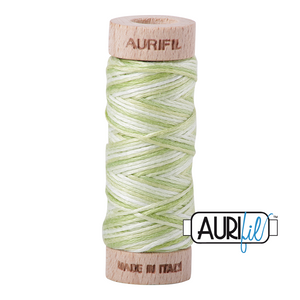 Aurifil 6-strand cotton floss - Variegated Light Spring Green 3320