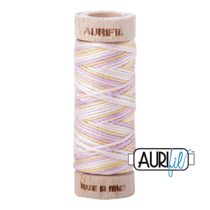 Aurifil 6-strand cotton floss - Variegated Bari 4651