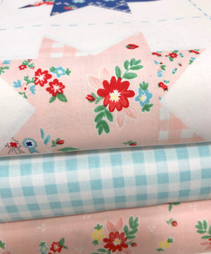 Quilt Fair Aqua Gingham
